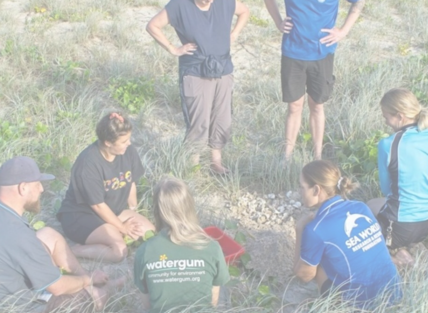 Volunteers from Watergum and Sea World Foundation working together on a coastal dune site